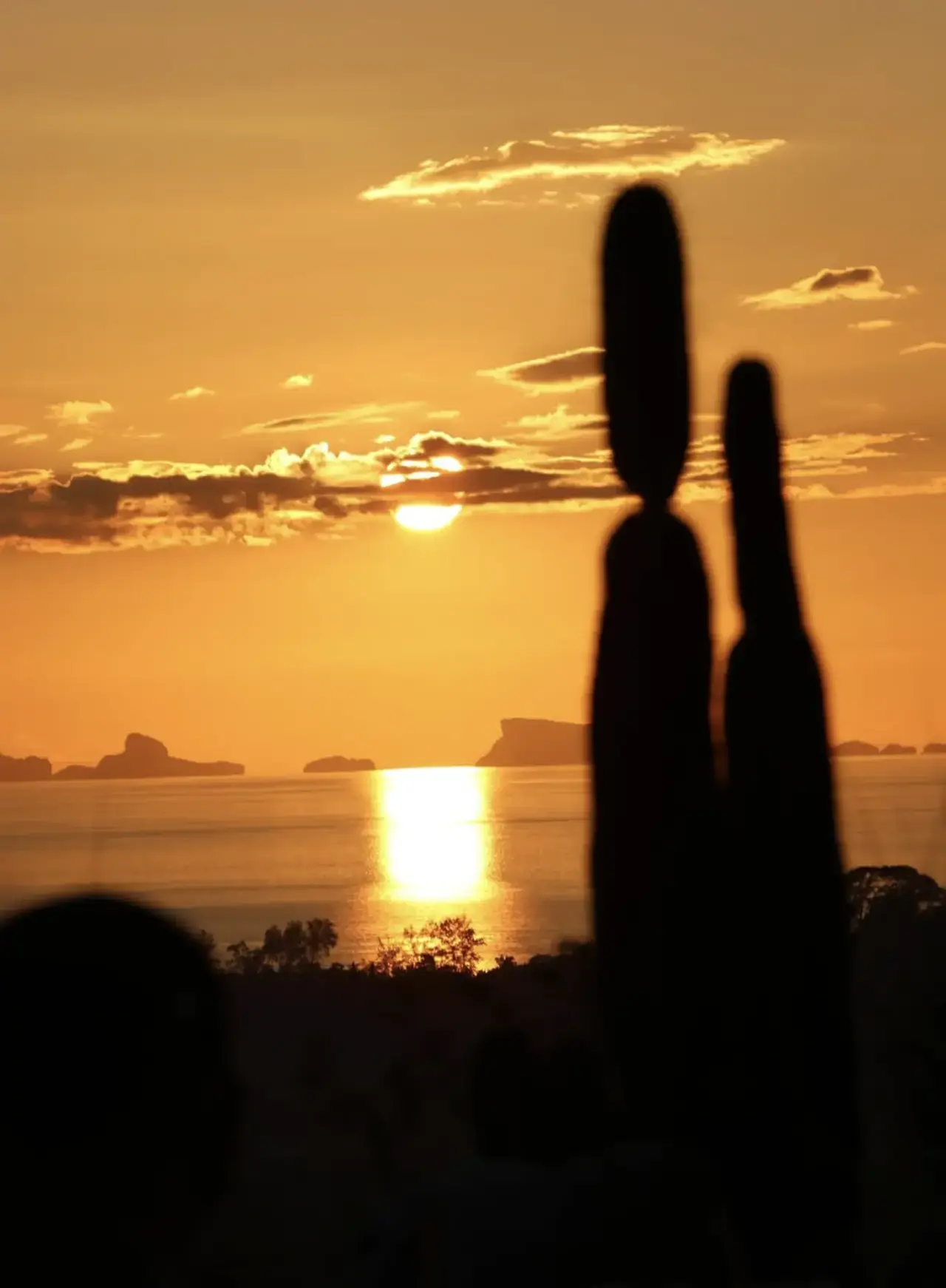 When to Visit Koh Phangan — Month by Month